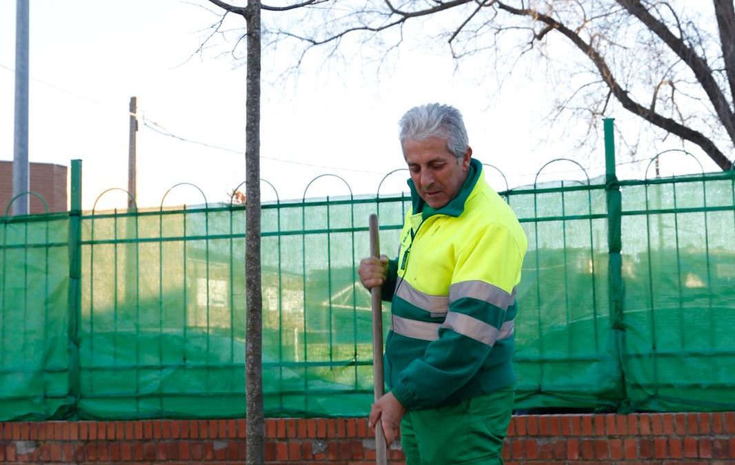 El cuerpo de jardinerÃ­a de la brigada municipal planta 15 almeces en el CEIP Campo AraÃ±uelo.