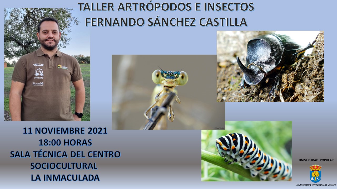 Fernando SÃ¡nchez Castilla impartirÃ¡ el taller ArtrÃ³podos e Insectos